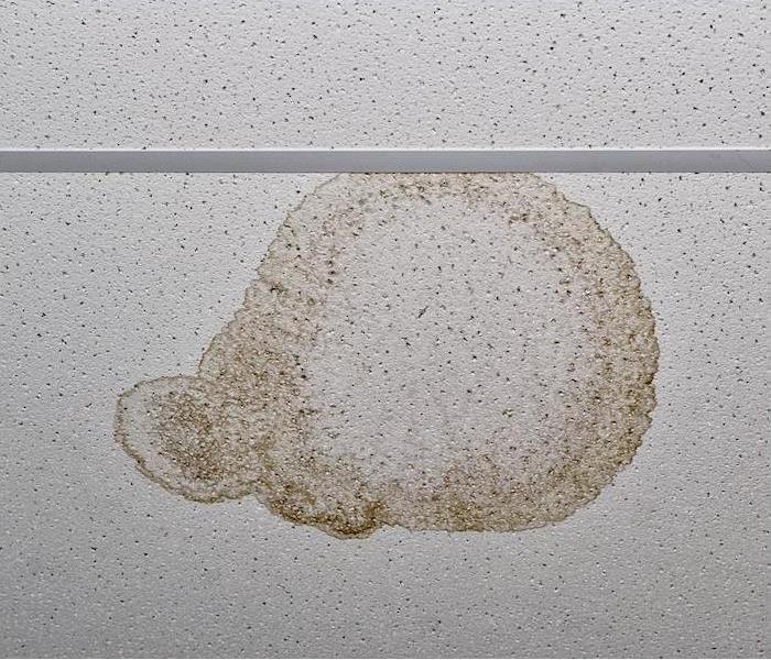 a white drop ceiling tile showing signs of water damage from a leak
